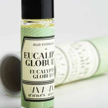 Eucalyptus Globulus essential oil