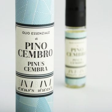 Pino Cembro essential oil