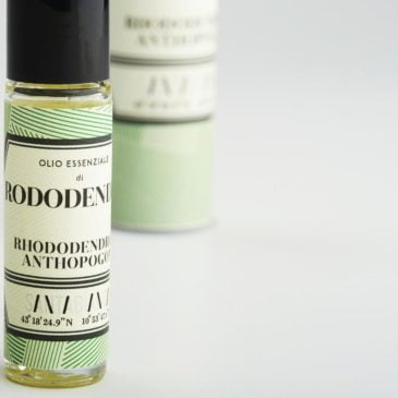 Rhododendron essential oil-1